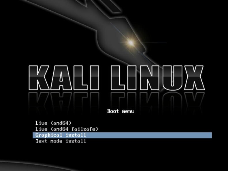 kali linux how to use this partition what should i choose