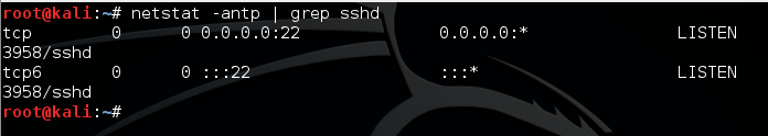 netstat in ssh command